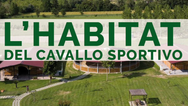 Habitat del cavallo sportivo