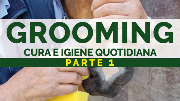 Grooming - Cura e igiene quotidiana
