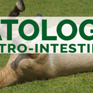 Patologie gastro-intestinali