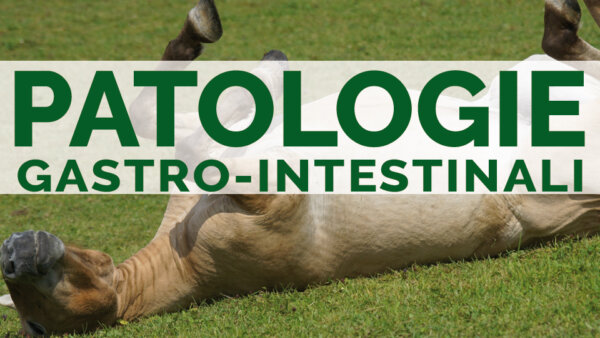 Patologie gastro-intestinali